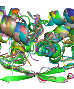 Peptides