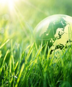 Πρώτες Ύλες